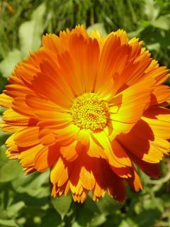 Екатерина Потапова