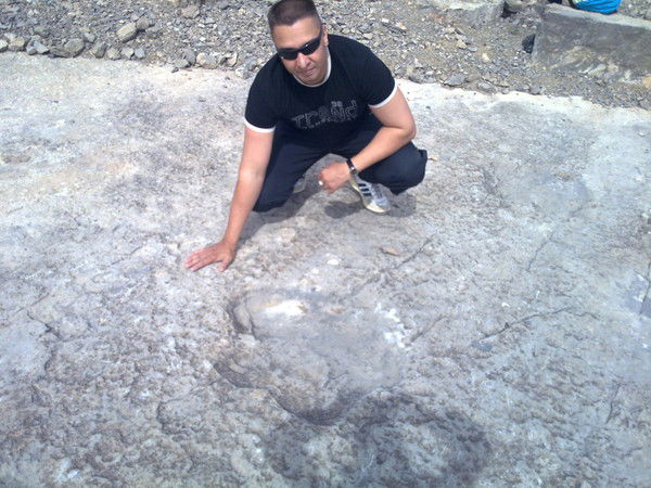 Андрей Веснин