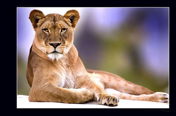 Эльмира Гафиятова