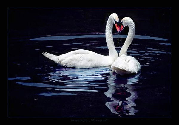 Нургуль Жумабаева