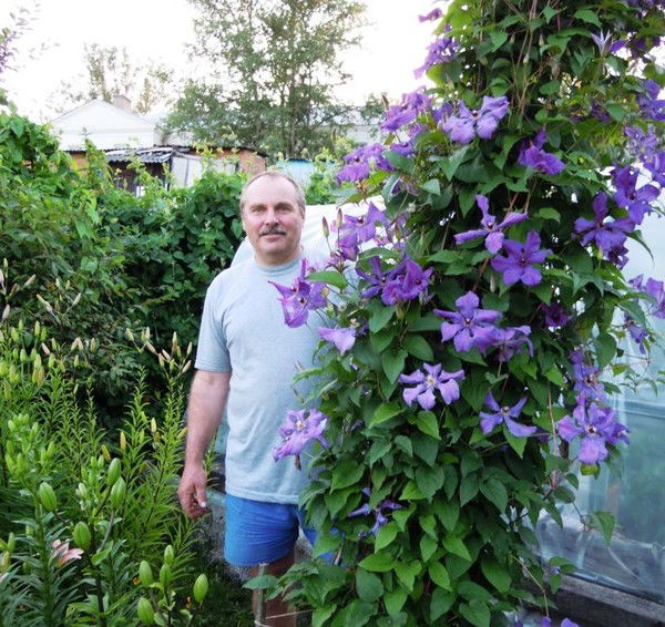 Александр Иванов