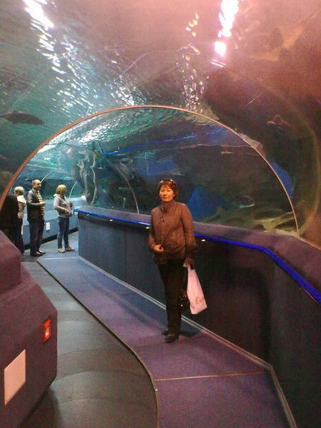 Нургуль Таукенова