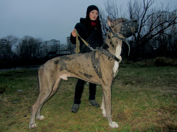 Ольга Булгакова