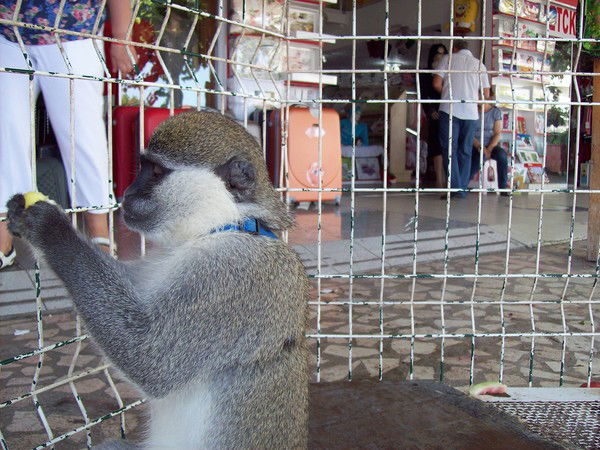 Наталья Касьянова