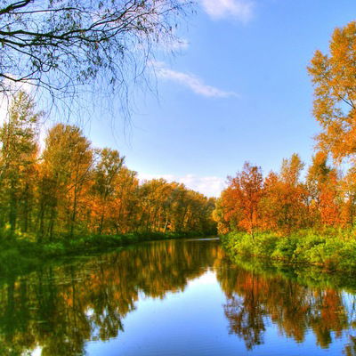 Серёжа Федькин