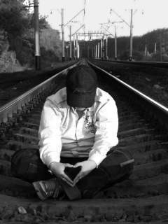 ...:::golden Fellow:::...