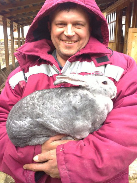 Иван Сорокин