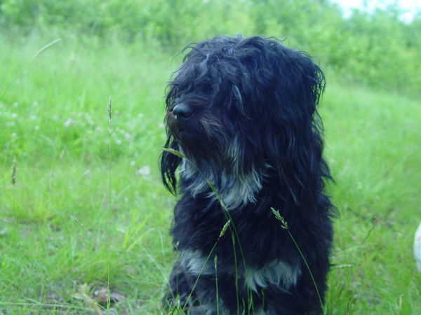Павел Громов