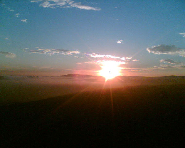 Антон Селицкий