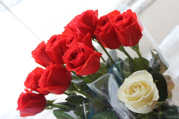 Марина Герасимова