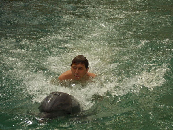 Алексей Статкевич