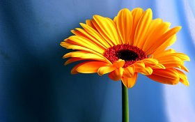 Матильда @@@@@@