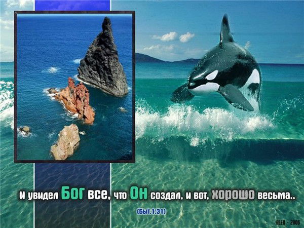 Александр Деркач