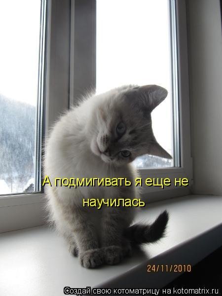 Натали Игнатцова