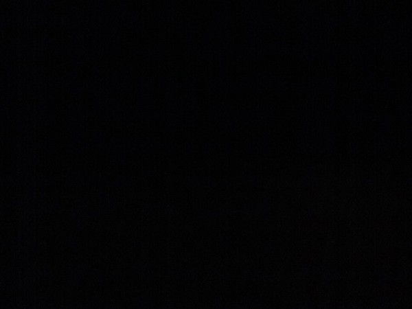 Павел Вавилов