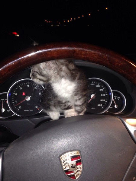 Михаил Ежов