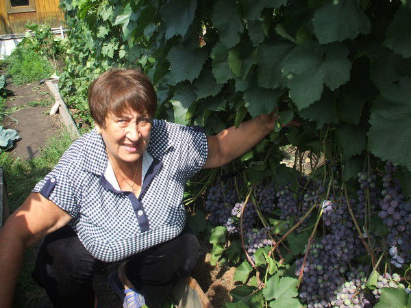 Тамара Шашнева