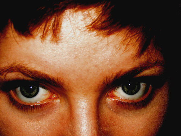 Сова Неясыть