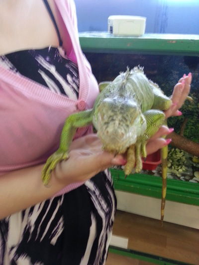 Ирина Вейснер