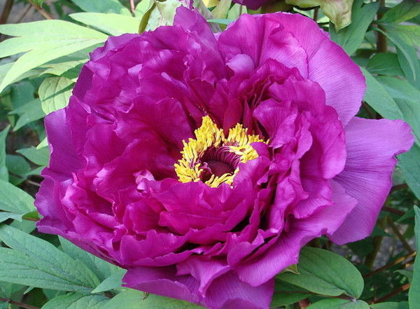 Ирина Байбакова