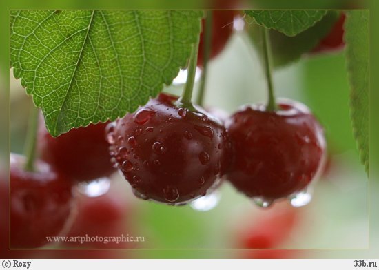 Ирина Ершова