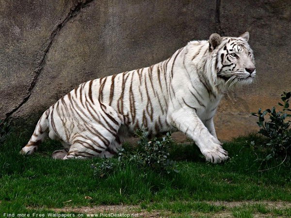 Жакия Байзуллин