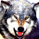 Алексей Трепашев