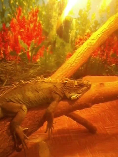 Александр Заиграев