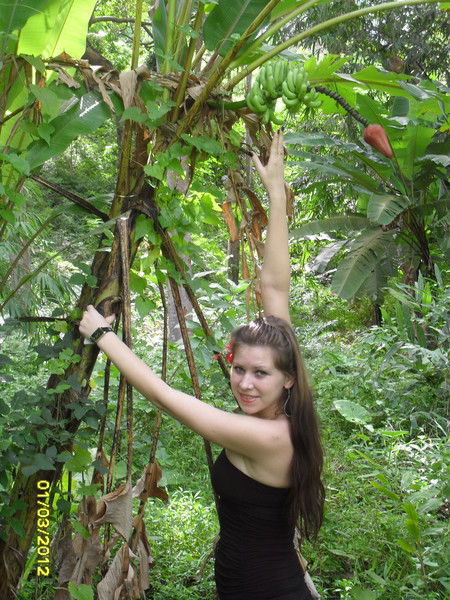 Елена Абрамова