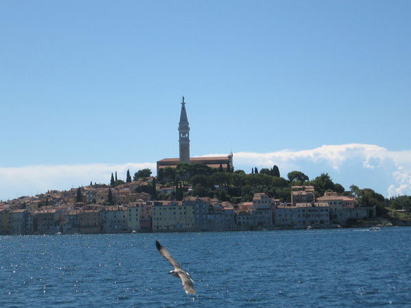 Алексей Шмаков