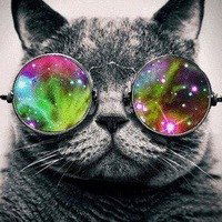 Алекс Матвеев