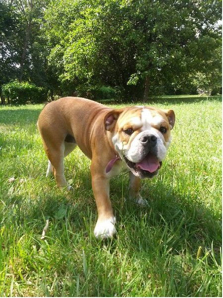 Алексей Широков