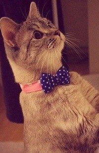 Ирина Крыленко