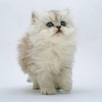 Гера Васильева