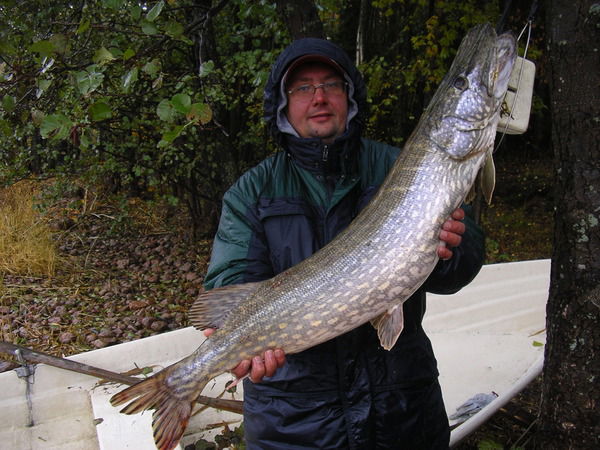 Игорь Лоскутов