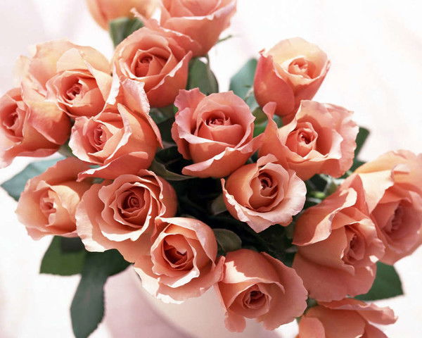 Лилечка Лилечка