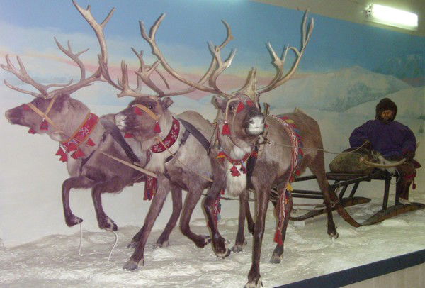 Юрий Колесников