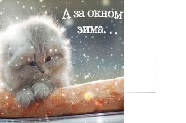 Ирина Высыпкова