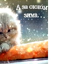Ирина Высыпкова