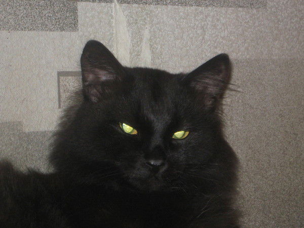 Татьяна Быкова