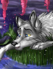 Просто Наташа