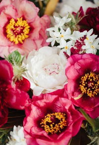 Алиса Фролова