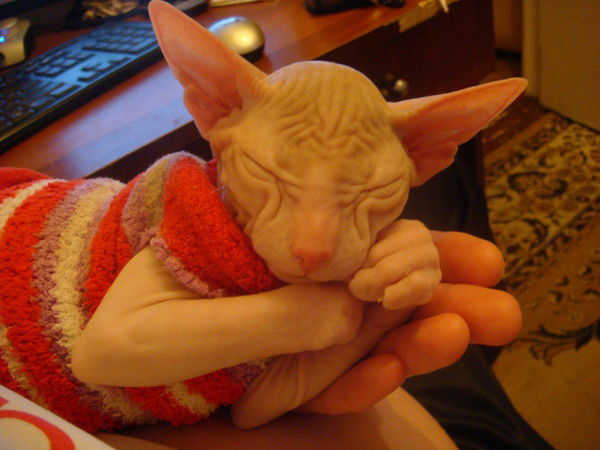 Люба Филипченко