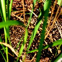 Виктор Петрович