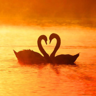 Екатерина Воробьева