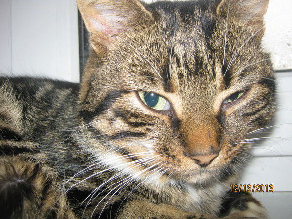 Любовь Минченко