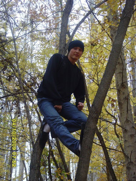 Александр Падалкин