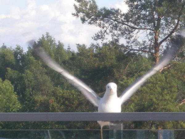 Танюшка Клюшникова