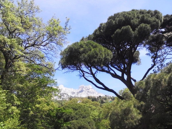 Елена Садофьева