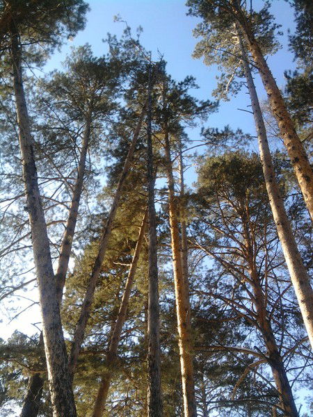 Валентина Шевченко